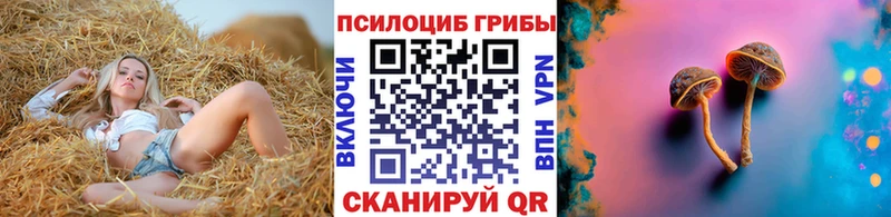 Галлюциногенные грибы Magic Shrooms  Купить  Коломна 